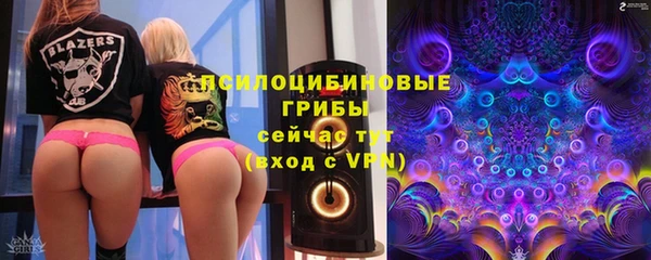 прущие грибы Белокуриха