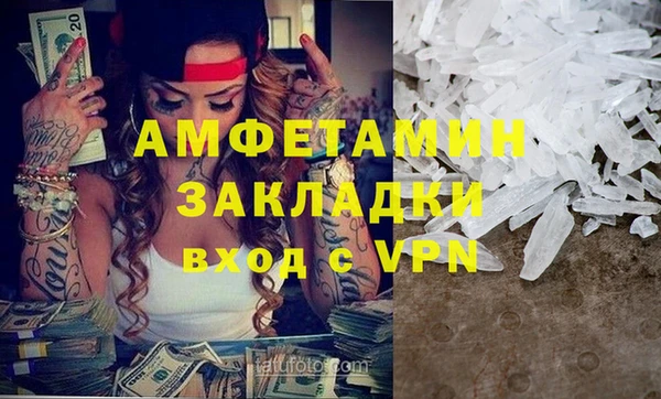 прущие грибы Белокуриха