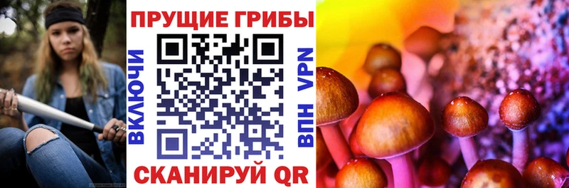 Галлюциногенные грибы MAGIC MUSHROOMS  Светогорск 